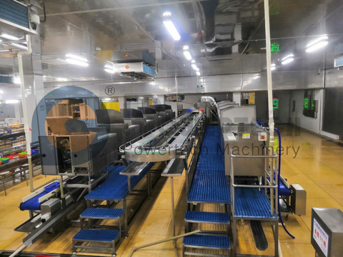 Línea automática de procesamiento de cangrejos de río de alta capacidad
