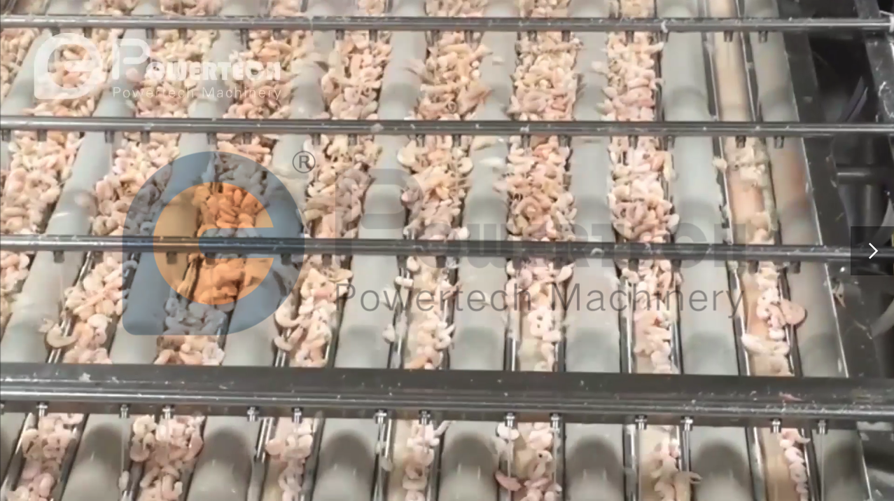 Línea de producción de pelado automático de camarones cocidos con cabeza