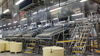 Línea de producción automática de pelado de camarones de alta capacidad y alta eficiencia