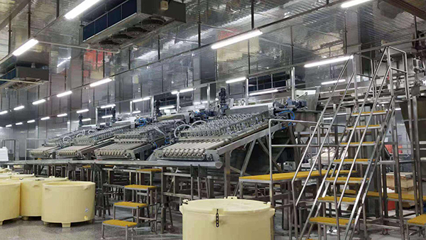 Línea de producción automática de pelado de camarones de alta capacidad y alta eficiencia