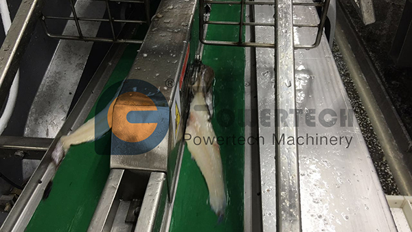 Máquina automática de fileteado de pescado de alta capacidad