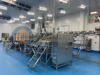 Línea de producción automática de pelado de camarones de alta capacidad y uso amplio