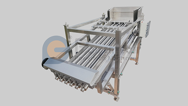 Clasificadora automática de pescado de alta capacidad
