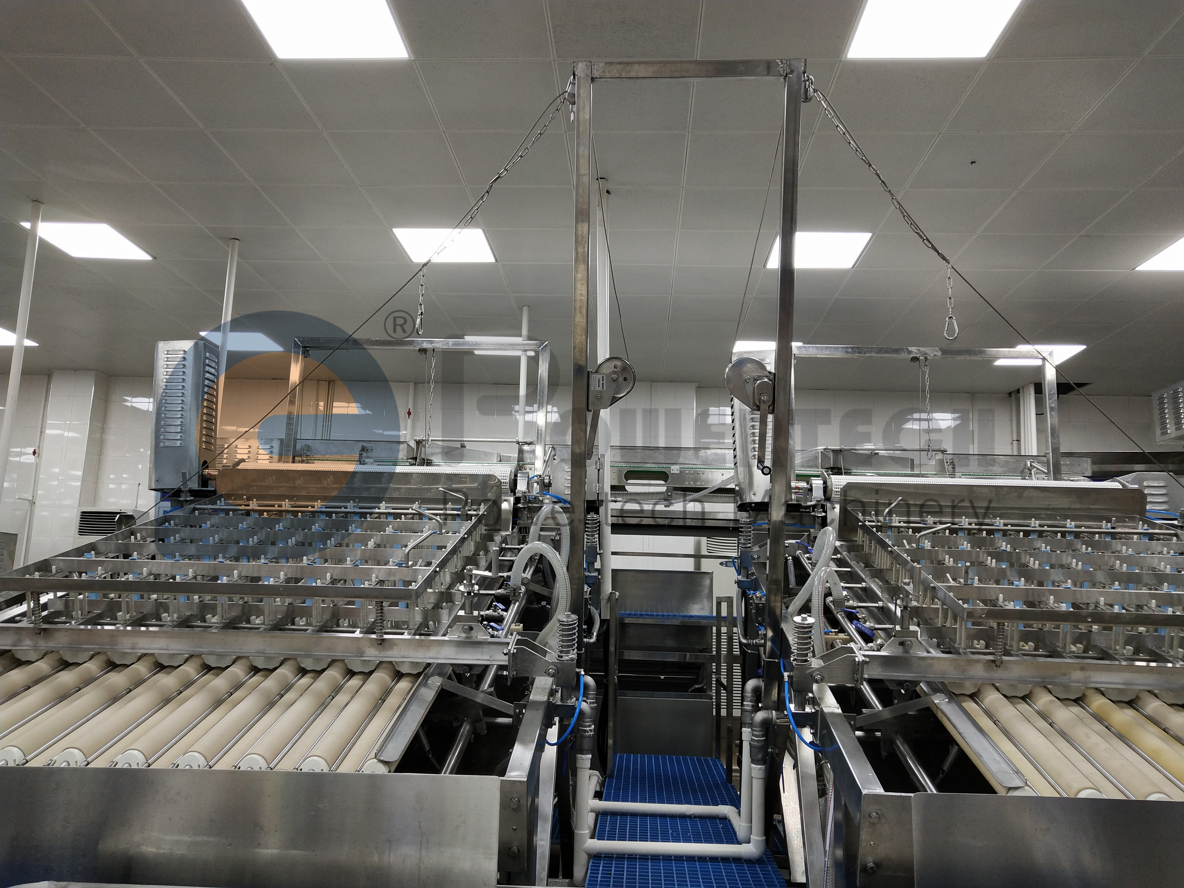 Línea de procesamiento automático de higiene y seguridad alimentaria Vannamei PUD