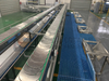 Línea automática flexible de procesamiento de cangrejos de río